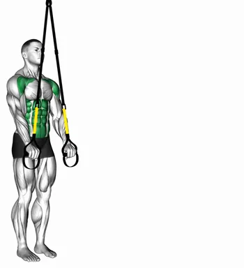 Suspended Abdominal Fallout demo