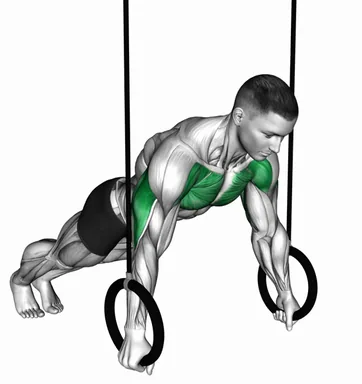 Suspender Push-up (Demo 2) demo