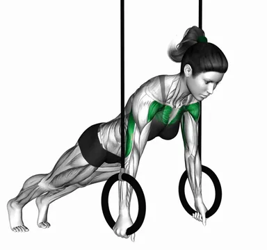 Suspender Push-up (Demo 3) demo