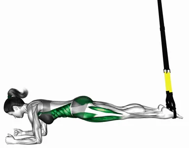 TRX Elbow Plank demo
