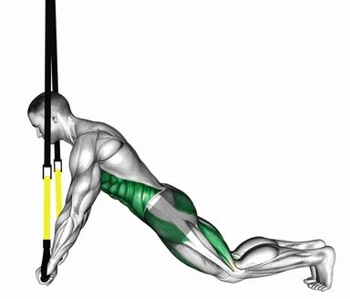 TRX Plank demo