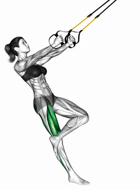 TRX Single Leg Squat demo
