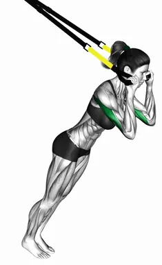 TRX Triceps Extension demo