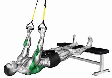 Suspender Weighted Inverted Row demo