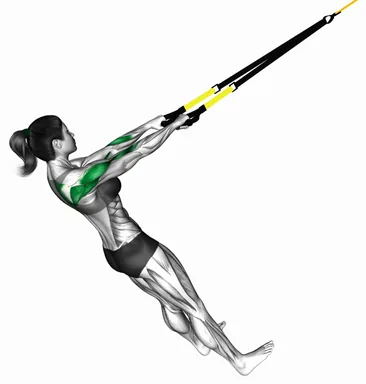 Suspender Wide Grip High Row demo