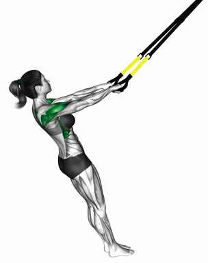 TRX Y-W 레이즈 자세 시연