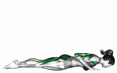 Pilates Swan Dive demo