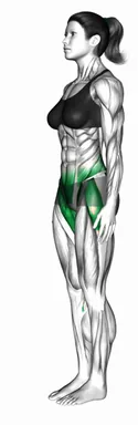 Tandem Stance (Demo 2) demo