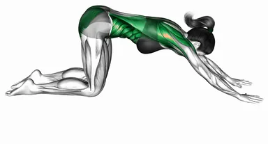 Thread the Needle Pose demo