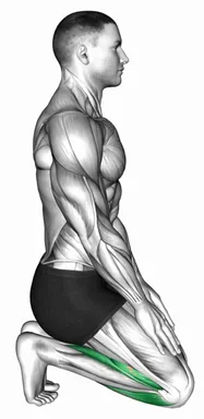 토 스쿼트 스트레칭 자세 시연