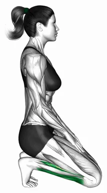 토 스쿼트 자세 자세 시연