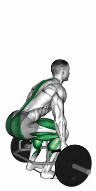 Trap bar Banded Deadlift demo