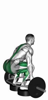Trap Bar Deadlift from Deficit demo