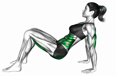 Triceps Dip Floor to Table Top Plank demo