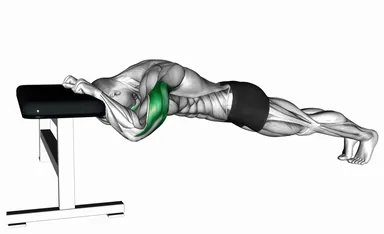 Triceps Press Bench Supported demo