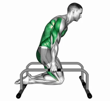 Tuck Planche on Parallette demo