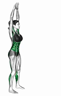 투 프론트 토 터치 자세 시연