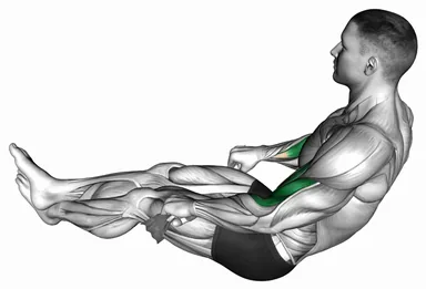 Two Legs Reverse Biceps Curl with Towel demo