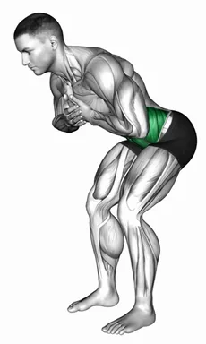Upper Body Rotation in Squat Position demo