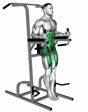 Vertical Leg Raise (on Parallel Bars) demo