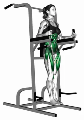 Vertical Leg Raise (on parallel bars) (VERSION 2) demo