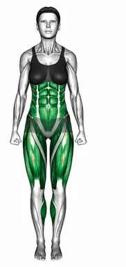 인 앤 아웃 워크 암 스윙 자세 시연