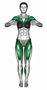 Walking Front Kick Vertical Hands demo
