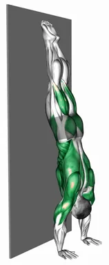 Wall Facing Single Leg Split Handstand Hold demo