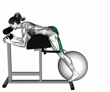 Weighted Ball Reverse Hyperextension on GHD demo