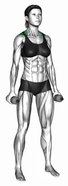 Weighted Bottle Standing Shrug demo