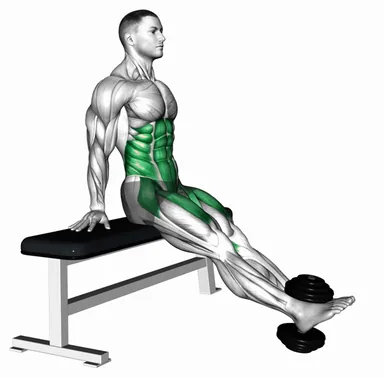 Weighted Dumbbell Seated Leg Raise demo