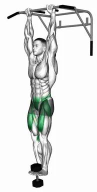 Weighted Hanging Knee Raise demo