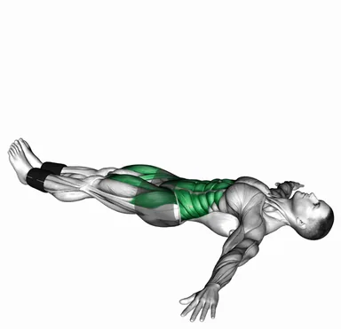 Weighted Lying Leg Raise demo