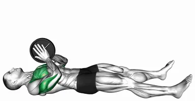 Weighted Lying Svend Press demo
