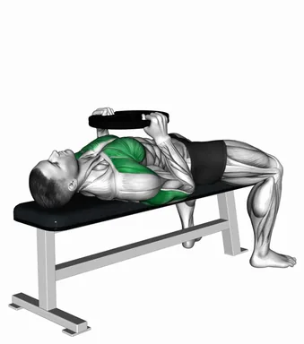 Weighted Plate Bench Press demo