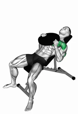 Weighted Plate Incline Press demo