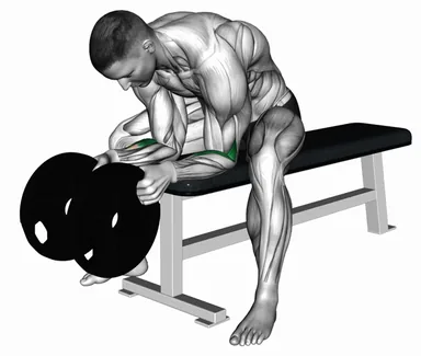 Weighted Plate Seated Neutral grip Wrist Curl demo
