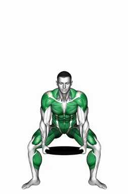 Weighted Plate Side-up Squat demo