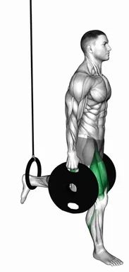 Weighted Plates Bulgarian Split Squat with the Ring demo