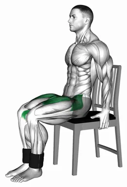 Weighted Seated Marching on a Chair demo