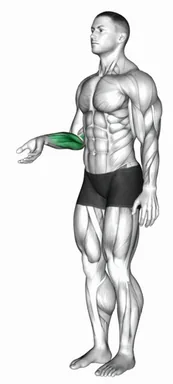 Wrist Flexion demo