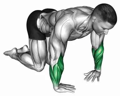 Wrist Ulnar Deviator and Flexor Stretch demo
