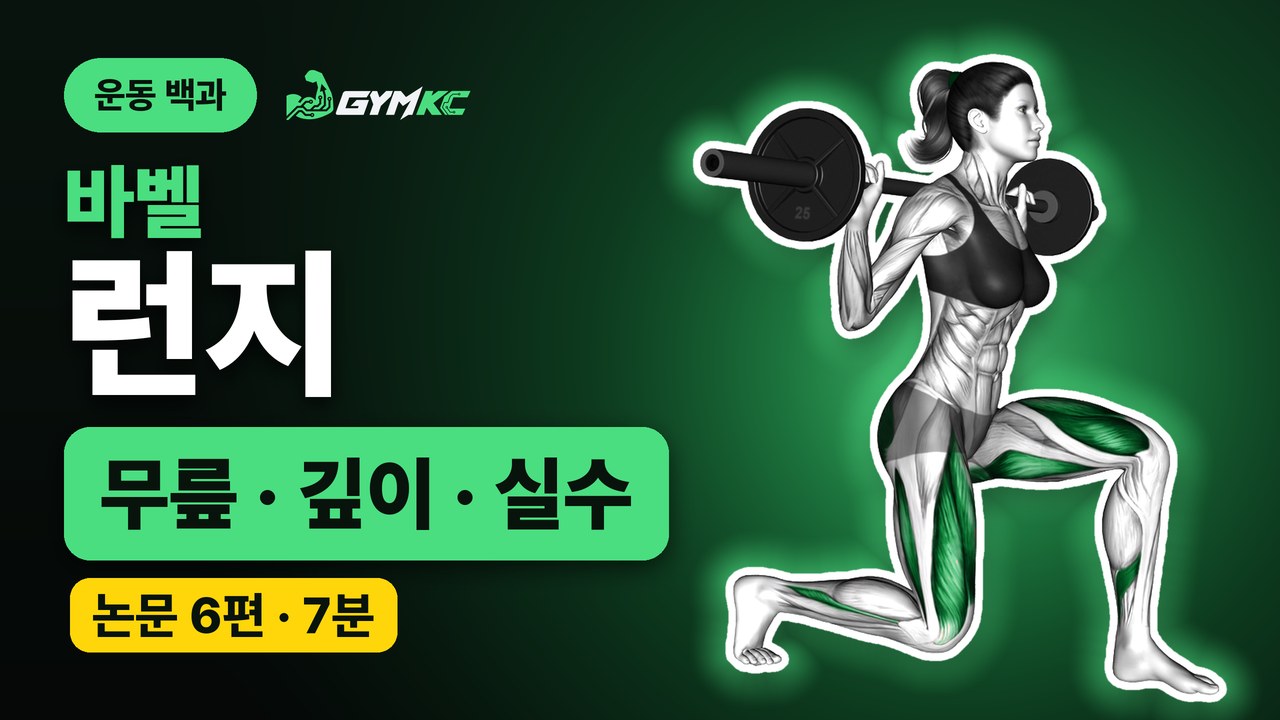 바벨 런지, 논문 6편으로 처음부터 끝까지 정리 영상 표지
