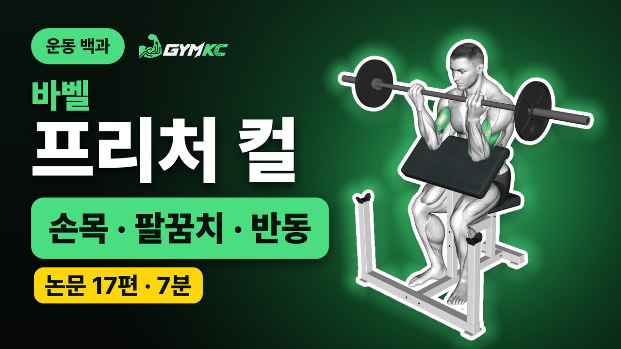 바벨 프리처 컬, 논문 17편으로 처음부터 끝까지 정리 영상 표지