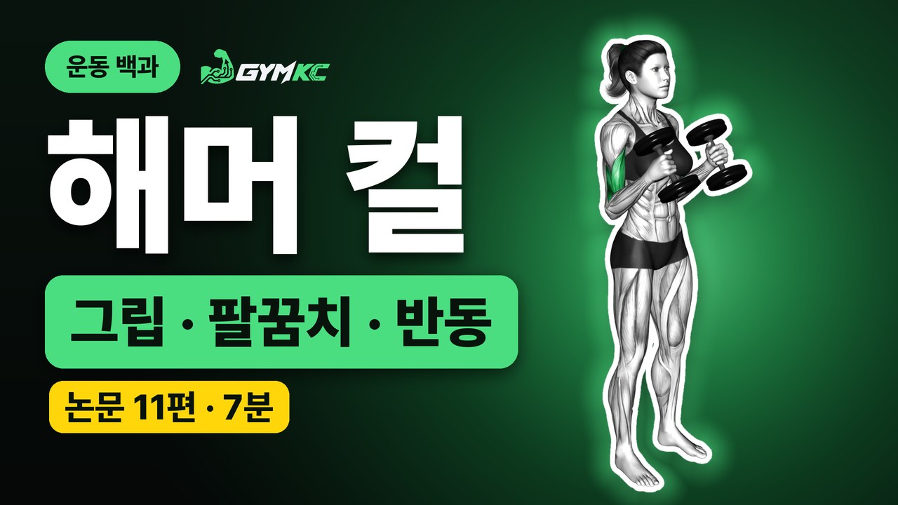 해머 컬, 논문 11편으로 처음부터 끝까지 정리 영상 표지