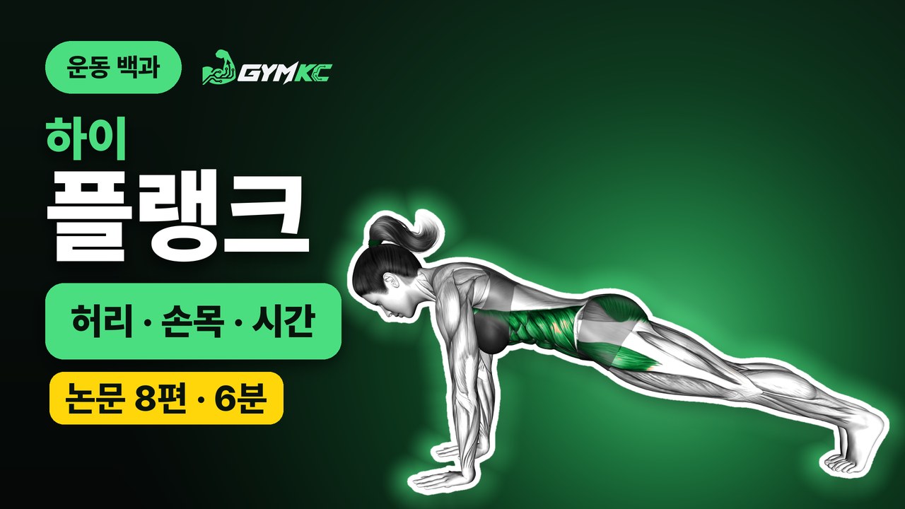 하이 플랭크, 논문 8편으로 처음부터 끝까지 정리 영상 표지