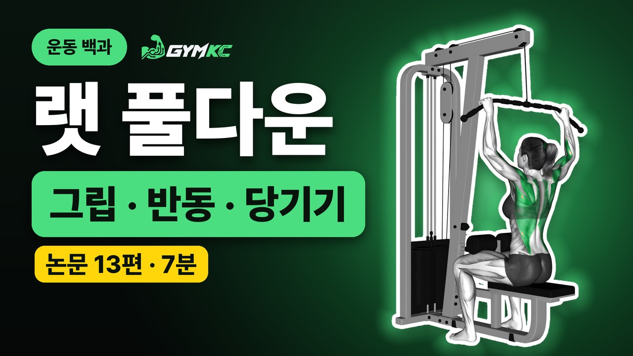 랫 풀다운, 논문 13편으로 처음부터 끝까지 정리 영상 표지