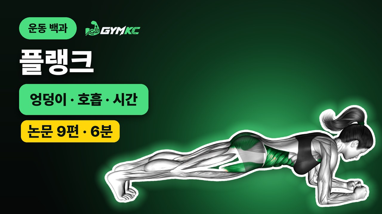 플랭크, 논문 9편으로 처음부터 끝까지 정리 영상 표지
