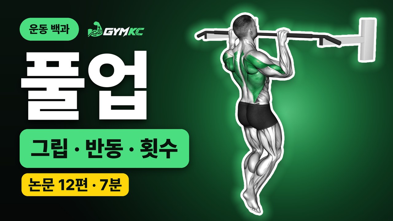 풀업, 논문 12편으로 처음부터 끝까지 정리 영상 표지