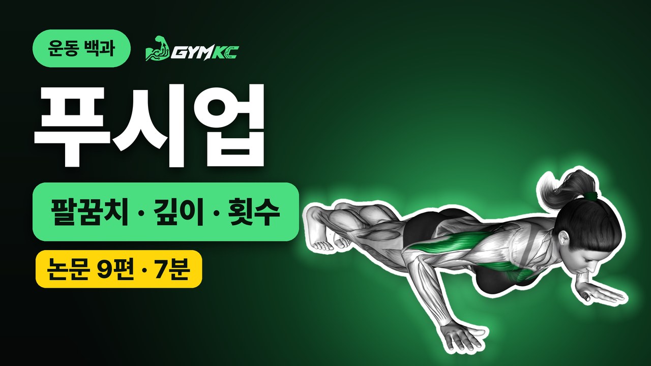 푸시업, 논문 9편으로 처음부터 끝까지 정리 영상 표지